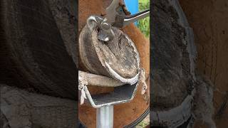 FARRIER TRIMMING a Horse HOOF satisfying oddlysatisfying asmr hoof horse [upl. by Arek38]