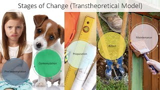 Change Model Stages of Change  The Transtheoretical Model [upl. by Topping133]