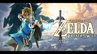 On continue Zelda pour le live caritatif [upl. by Floria577]