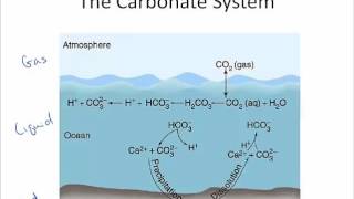 Water Chem Alkalinity Part 1 [upl. by Magnolia]