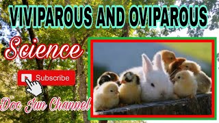 VIVIPAROUS and OVIPAROUS ANIMALS  Science for kids [upl. by Noram694]