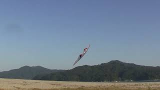 141012 Sport Kite Flyingfrom Japan [upl. by Levon9]