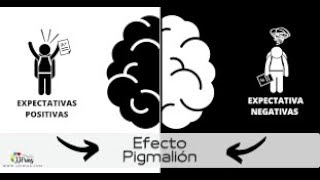 El efecto pigmalion  Experimento de psicología  Documental [upl. by Cinimmod]