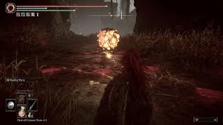 HOW TO KILL ABYSSAL WOOD EYE MONSTERS  SLOW MOTION VERSION ELDEN RING DLC 2024 [upl. by Cuttler165]