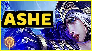 ASHE ADC HIGHLIGHTS [upl. by Niahs]