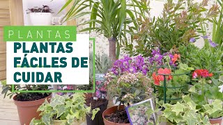 10 Plantas de exterior resistentes y fáciles de cuidar  Plantas en VERDECORA [upl. by Barny535]