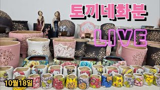 10월18일 선영분 들꽃 상민 이쁜아이들 많이 준비 했어요 [upl. by Rosenzweig858]