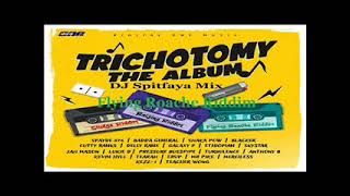 TrichotomyThe AlbumFlying Roache Riddim MixftTurbulenceLukie DIbo FyahDelly RanxCutty Ranks [upl. by Michelina]