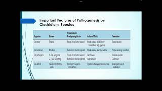 Ex of nosocomial infections  part 1 [upl. by Anattar]