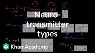 Types of neurotransmitters  Nervous system physiology  NCLEXRN  Khan Academy [upl. by Ahsilrae]