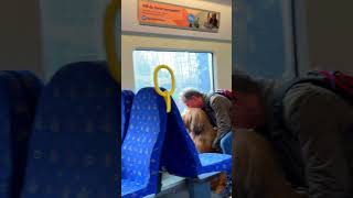 Inside of a Swedish train short sweden train shortsvideo [upl. by Airotkciv854]