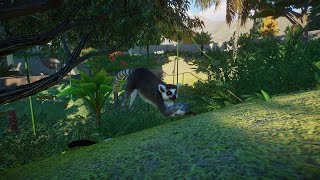 Building a NEW Lemur Exhibit in Planet Zoo [upl. by Kerin586]