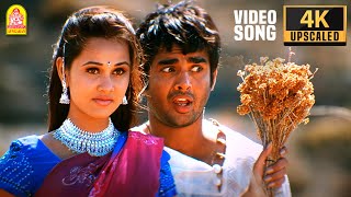 Jay Jay  Unnai Naan Official Video Song  RMadhavan  Amogha  Pooja [upl. by Paten]