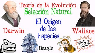 🐚Teoría de la Evolución Darwin y Wallace🔍 Fácil y Rápido  BIOLOGÍA [upl. by Joane]