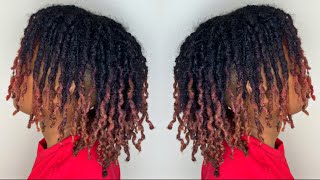 Dreadlock Two Strand Twist Out  Curly Hair [upl. by Akyre]