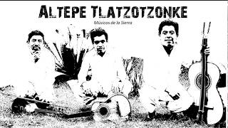 Tlalchitze Tako  Música en náhuatl de la sierra de Zongolica [upl. by Jegar748]