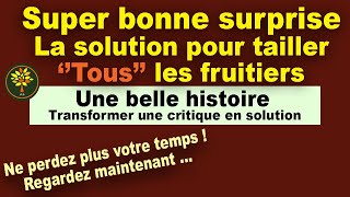 La taille des arbres fruitiers  La solution pour tailler tous les arbres fruitiers super surprise [upl. by Lunnete]