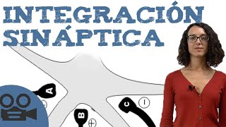 Qué es la integración sináptica [upl. by Odelinda]