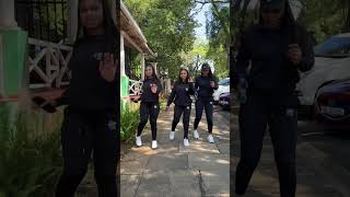 ANC women dancing challenge [upl. by Tomasina]