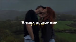 Tera mera hai pyar amar  ost  slowed reverb [upl. by Nelle]