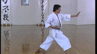 Wankan  Efthimios Karamitsos  Karate  Kata  Shotokan [upl. by Ardnuassac277]