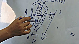 Cara Oclusal de la Primera Premolar Superior [upl. by Fuhrman]