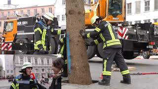 Der Weihnachtsbaum wird am Augsburger Christkindlesmarkt aufgestellt [upl. by Natsirk]