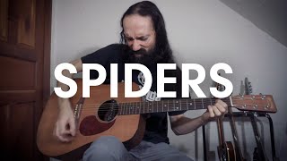 Spiders  SYSTEM OF A DOWN  Solo Acoustic Guitar Cover [upl. by Micki]