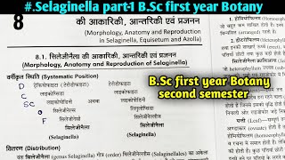 Selaginella part1  BSc first year Botany second semester in hindi [upl. by Bartolomeo]