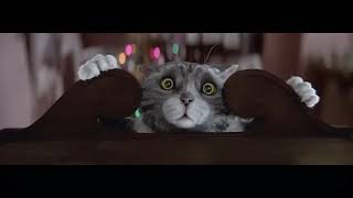 Sainsburys Christmas Advert  2015  Mogs Christmas Calamity [upl. by Bennink235]