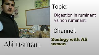 Digestion in ruminant vs non ruminant [upl. by Isidor]