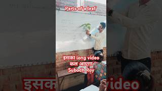 parts of leaf  पतियों के भागbiology botany popularsong subodRoy viralshorts shorts [upl. by Ainoval34]