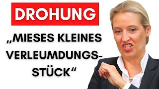 Weidel Affäre Süddeutsche Zeitung mit massiven Beleidigungen [upl. by Ennadroj]