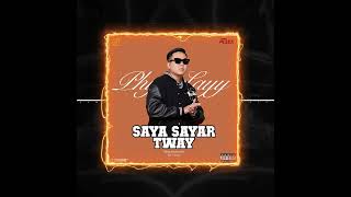 ဆရာ့ဆရာတွေ  ဖြိုးလေး l Saya Sayar Tway  Phyo Layy  Official Audio [upl. by Berner]