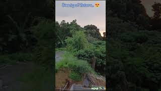 Somewhere in Antipolo Rizal 🇵🇭 shortvideo travelph scenicviews viralvideo [upl. by Inaliel855]