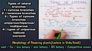 types of lateral branches cymose amp racemose branches types of cymose brancheschapter stem part 6 [upl. by Sitruc]