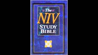 The Gospel of John NIV Audio Bible Non Dramatized [upl. by Pederson]