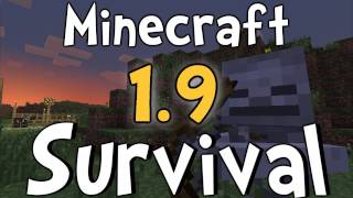 Minecraft 19 Survival  Ep6  Leveling Up and Baby Sheep [upl. by Chuah]