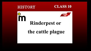 Rinderpest or the cattle plague  the making of a global world  class 10 history ncert [upl. by Suqram]