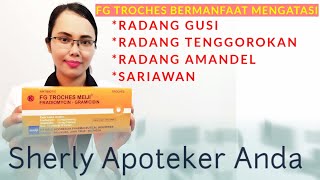 Obat Radang Gusi Radang Tenggorokan Radang Amandel Dan Sariawan  FG TROCHES MEIJI [upl. by Agnimod]