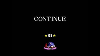 Faint Courage  but its Sonic soundtrack [upl. by Eimmat]