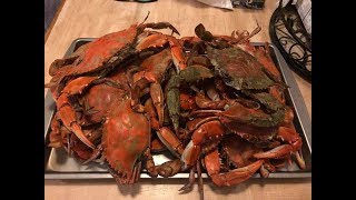 Crabbing in Chincoteague Virginia running a Trot Line August 3 2017 [upl. by Shandee]