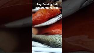 Masasarap na Isda Ang Nahuli fishing fishing fishingvideo fish fish viralvideo [upl. by Ahsieker]