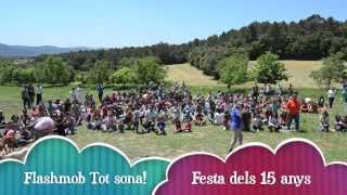 Flashmob Tot sona [upl. by Irt]