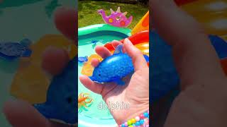 Learn Sea Animal Names  Bounce Toys off Waterslide Blue Shark Walrus Octopus Lobster Dolphin [upl. by Nyladnor]