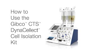 How to Use the Gibco CTS DynaCellect Cell Isolation Kit 229 [upl. by Nirb952]