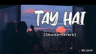 Tay Hai SlowedReverb Ankit Tiwari  Rustom l  SV Lofi [upl. by Rheinlander]