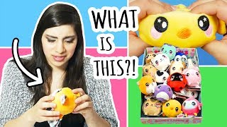 Unboxing a Whole Case of SQUEEZAMALS  Squishies or Plushies [upl. by Nagiem819]