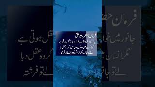 Hazrat Ali qoutes shorts status youtubeshorts urdustatus islamicstatus allah hazrataliquotes [upl. by Stella]