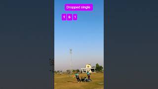 Sialkot stallions vs Lahore badshah 15 overs match part 3 cricket trending tiktok youtubeshorts [upl. by Birk]